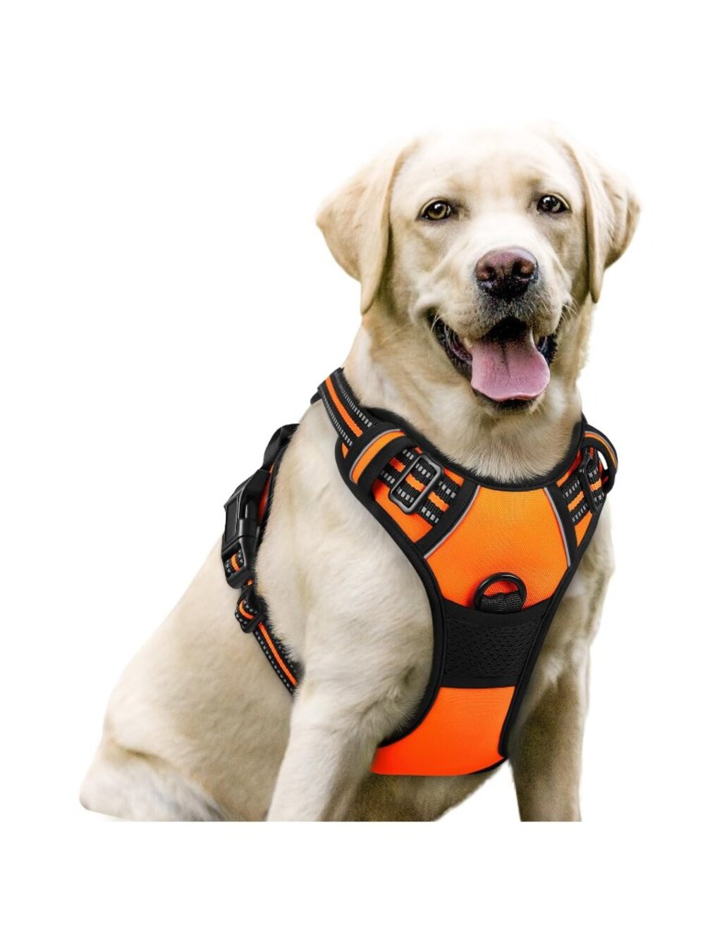 "Large" Dog Harness, No Pull for Large Dogs with 2 Leash Clips, Pet Vest